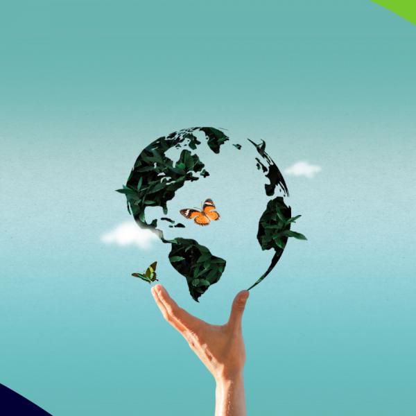 Consumo consciente: aprenda e pratique